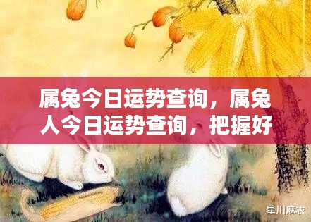 属兔今日运势大揭秘,把握好运,开启幸运一天!