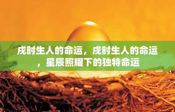 知错就改 第3页