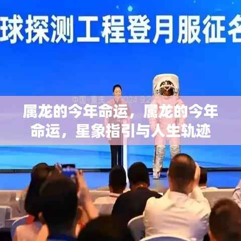 鸟栖虫居 第4页