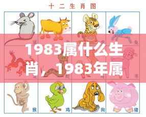命运之轮下的机遇与挑战,揭秘1983年属猪人的生肖运势