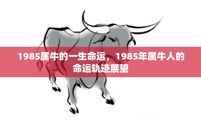 1985年属牛人的命运展望,一生轨迹解析