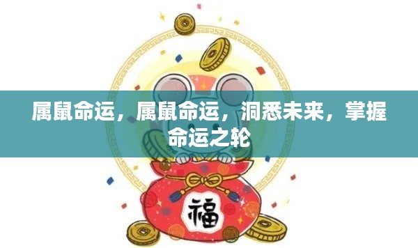 属鼠命运揭秘,洞悉未来,掌握命运之轮走向