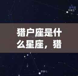 揭秘猎户座,星座运势背后的神秘面纱