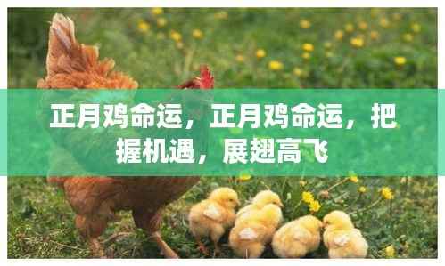 灰飞湮灭 第4页