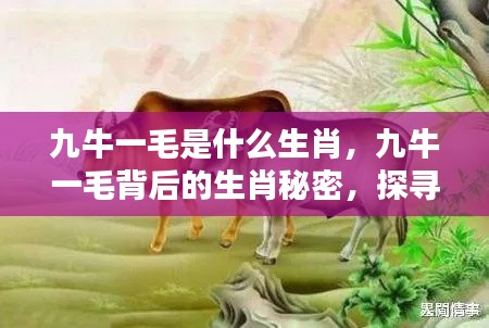九牛一毛背后的生肖秘密,探寻命运之轮中的特殊缘分与生肖缘分解析