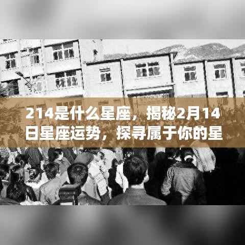 张王李赵 第4页