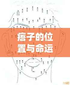 痦子位置与命运,痣的存在与人生微妙联系探究