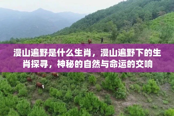 漫山遍野下的生肖探寻,自然与命运的神秘交响