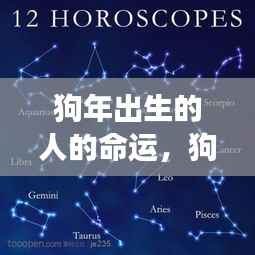 狗年出生人士的运势展望与星座解读,命运的轨迹与星座的影响分析
