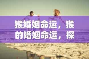 探寻猴子的婚姻命运与爱情家庭观,猴王之王者的情感之旅