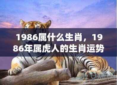 1986年属虎人的运势分析及挑战把握