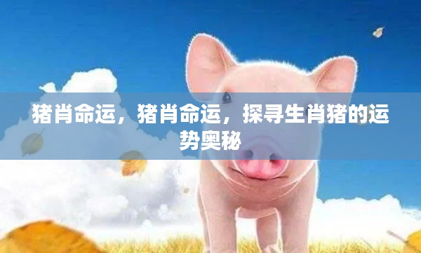 生肖猪的运势奥秘探寻,猪肖命运详解
