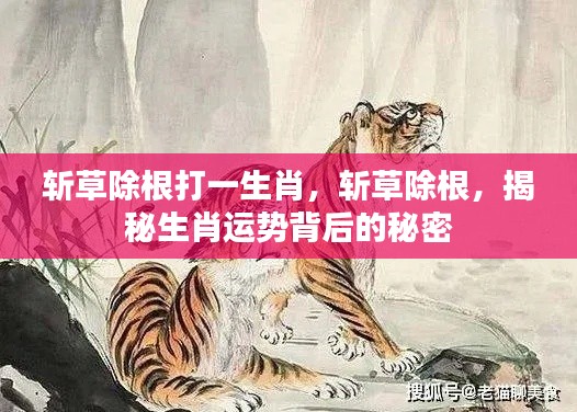 揭秘生肖运势背后的秘密,斩草除根,探寻生肖之力