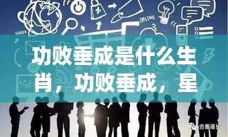 功败垂成之路,星座运势与生肖特质探秘