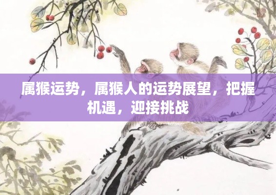 属猴人的运势展望,把握机遇,迎接挑战,迎接美好未来!