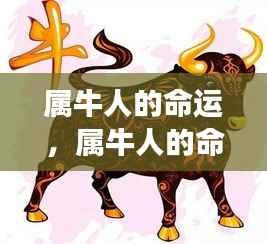 属牛人的命运轨迹,坚韧铸就成功之路