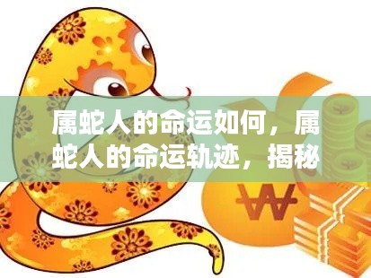 揭秘属蛇人的命运轨迹与运势走向