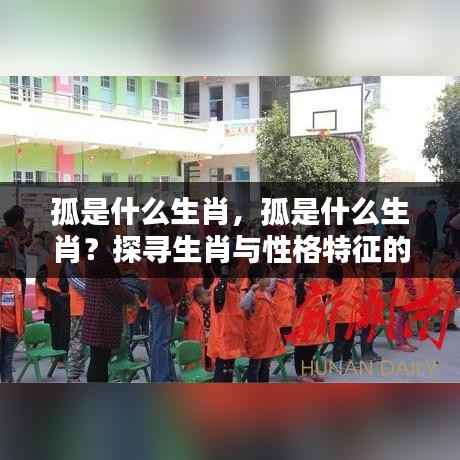 孤的生肖属性与性格特征,探寻生肖与性格的神秘关联