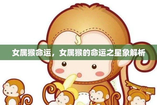 女属猴命运解析,星象下的命运轨迹