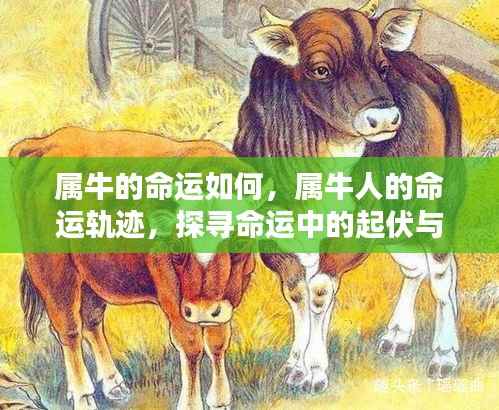 井底之蛙 第3页