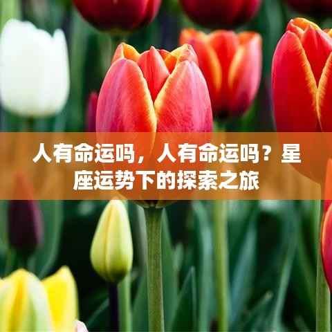 探索星座运势背后的命运之谜，人类命运真的存在吗？