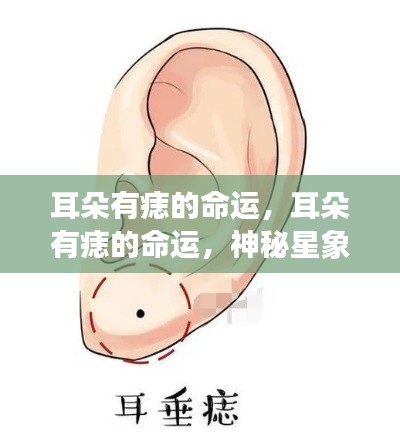 仙风道骨 第4页