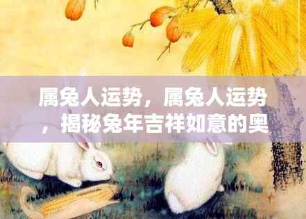 揭秘属兔人的吉祥运势与成功奥秘