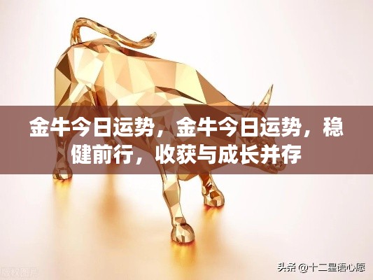 金牛今日运势,稳健前行,收获与成长双丰收