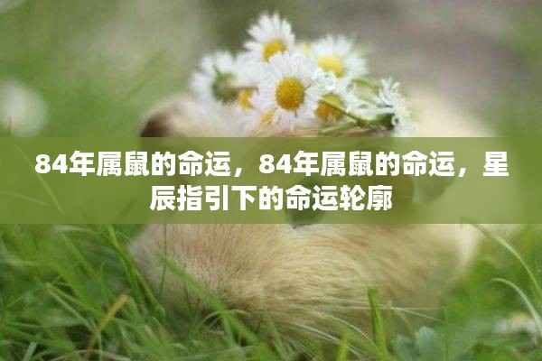 如花似玉 第4页
