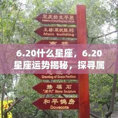 20星座运势揭秘,探寻属于你的星辰轨迹,掌握未来运势走向