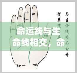 人生的交叉点,命运线与生命线的交汇探寻