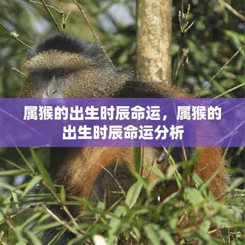 标新创异 第3页