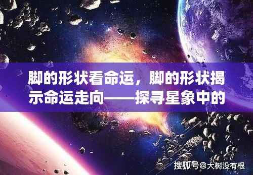 脚的形状揭示命运走向,探寻星象中的未来轨迹预测命运轨迹