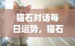 猫石对话每日运势,掌握星象,开启幸运之旅