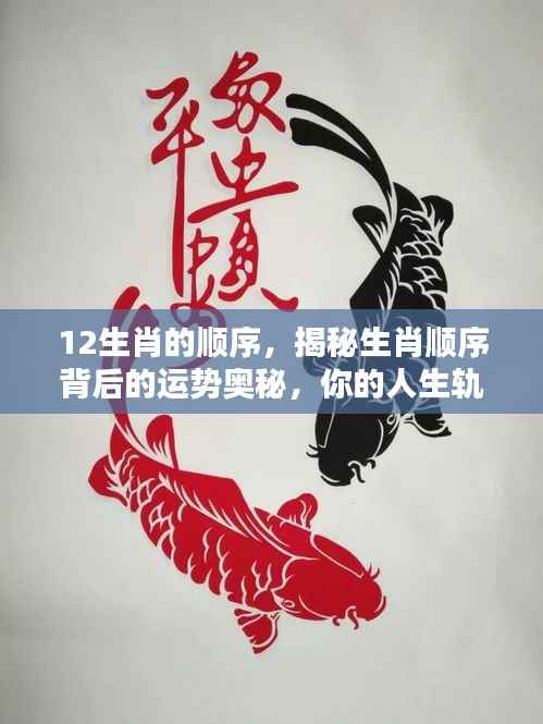 揭秘生肖顺序背后的运势奥秘,生肖与人生轨迹紧密相连的奥秘探究