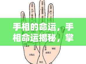 手相命运揭秘,掌纹里的生命奥秘探索