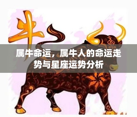 日就月将 第3页