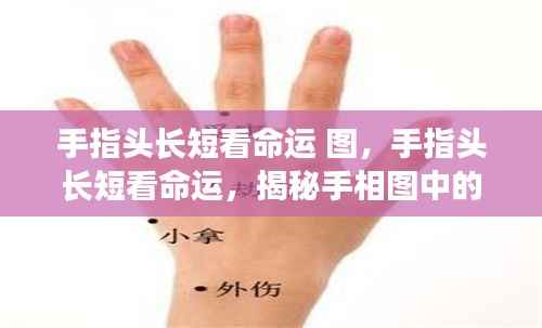 抛砖引玉 第3页