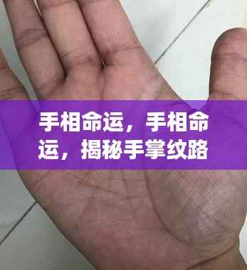 揭秘手相命运,手掌纹路中的生命密码探索