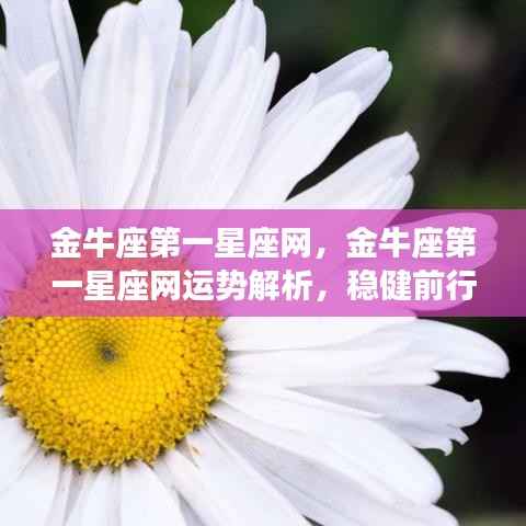 金牛座第一星座网运势解析,稳健前行,收获在即