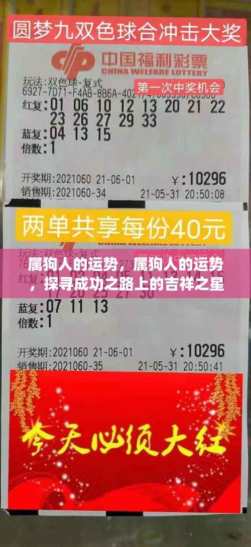 属狗人的吉祥运势与成功之路探寻