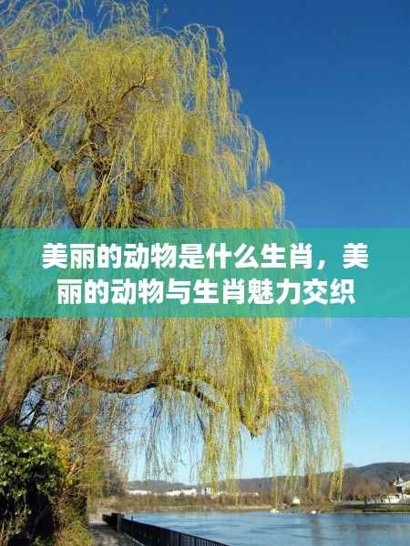 生肖魅力与美丽动物的交织