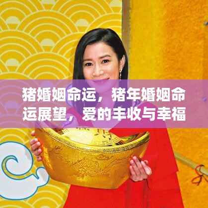 伤弓之鸟 第3页