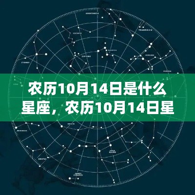 农历10月14日星座运势解密,探寻属于你的星辰轨迹