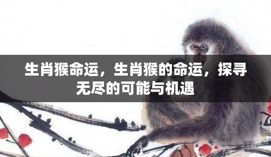 生肖猴命运揭秘,探寻无限可能与机遇之路
