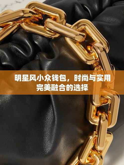 明星风小众钱包,时尚与实用完美融合的选择