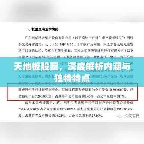 天地板股票,深度解析内涵与独特特点