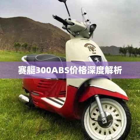 赛艇300ABS价格深度解析