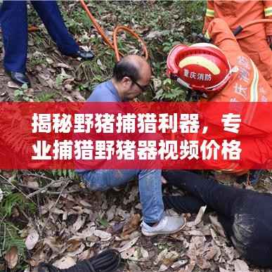 揭秘野猪捕猎利器,专业捕猎野猪器视频价格全解析