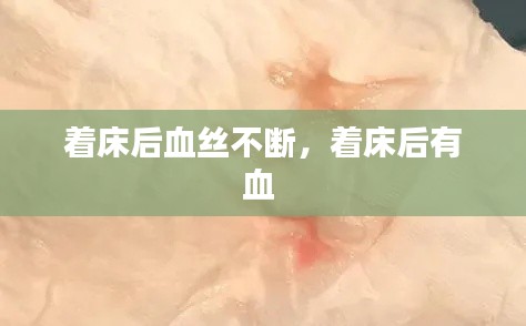 着床后血丝不断,着床后有血